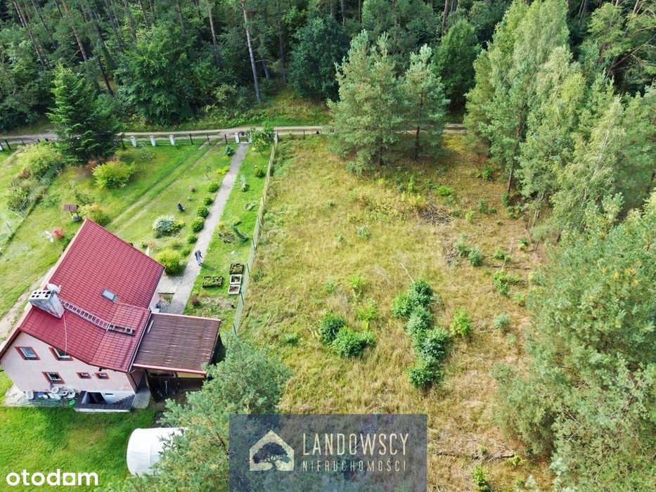 Działka przy lesie i jeziorze | Prywatny raj - Widok 5