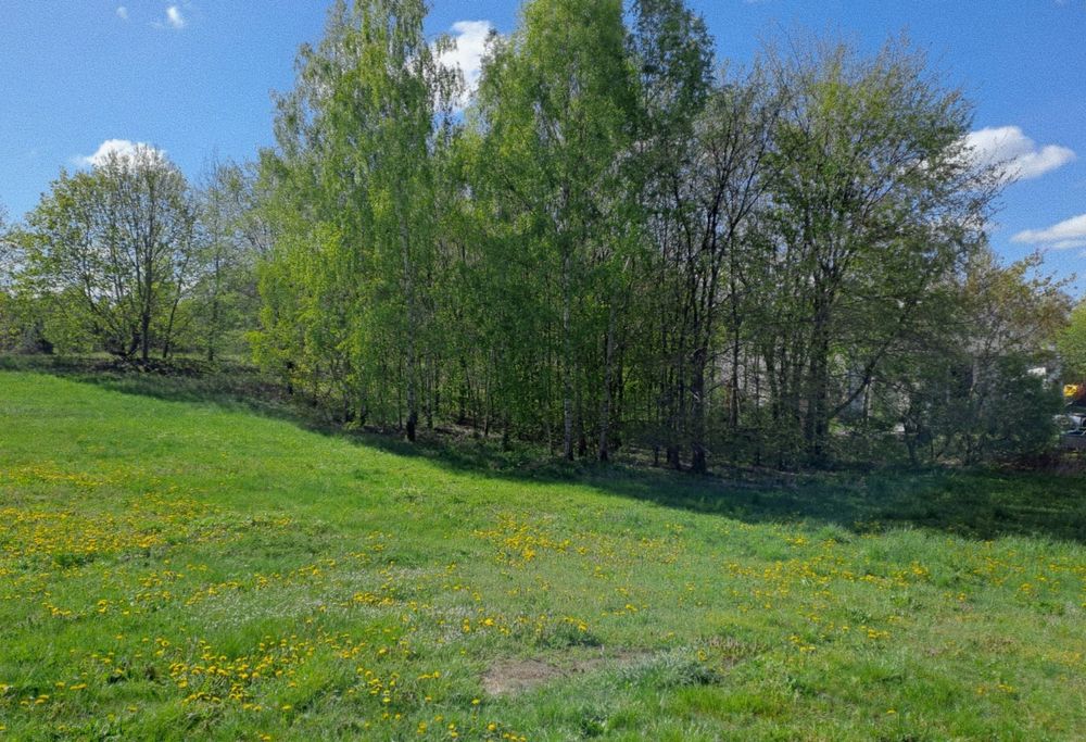 Piękna działka 1948m2 na Mazurach, Łążyn, z własnym laskiem