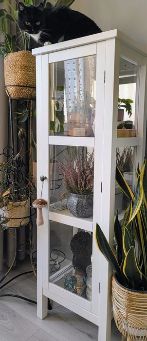 Witryna biała z oświetleniem do uprawy roślin grow light