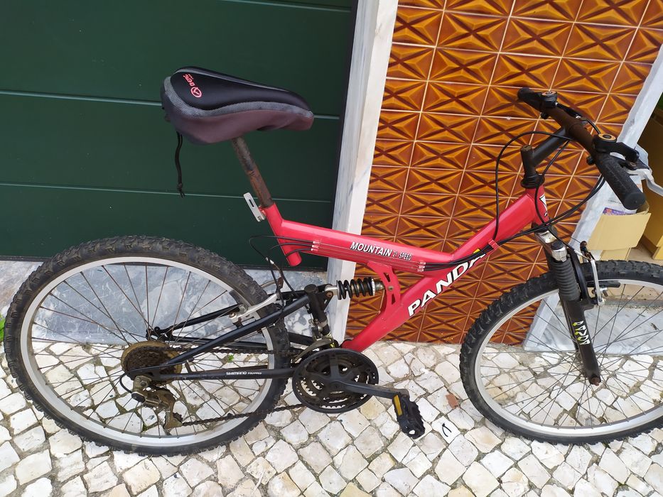 Bicicleta nova da marca panda de 21