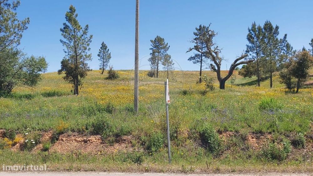 Terreno  para venda — São Bartolomeu de Messines, Faro