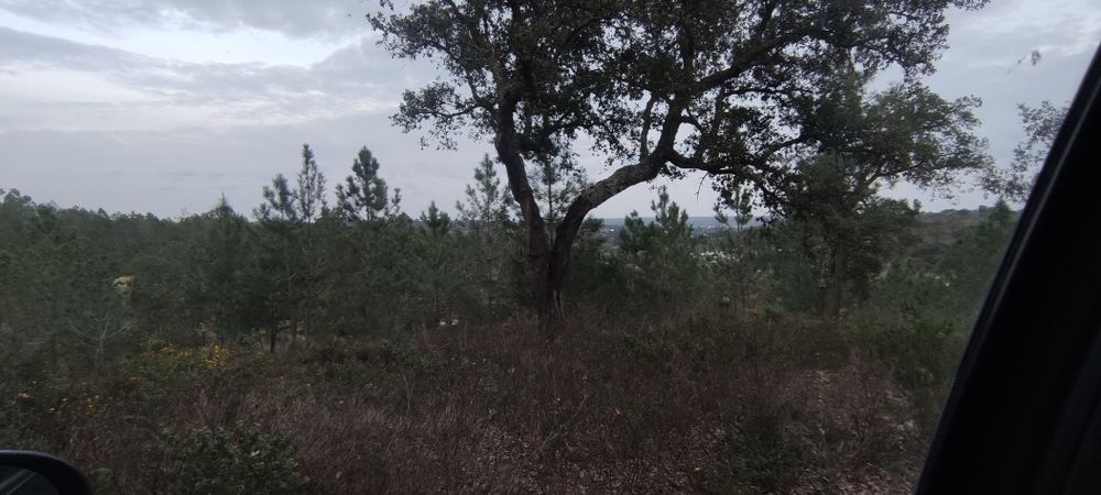 Terreno em Montargil Rústico mais Urbano