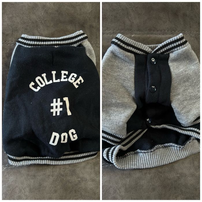 Одяг для собак, одежда для пса