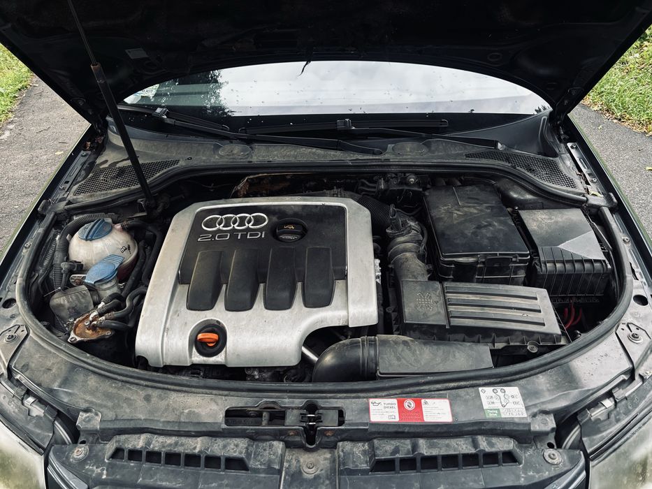 Audi a3 8p 2.0tdi
