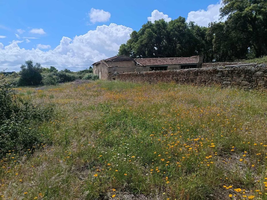 Terreno Ideal para Refúgio de Campo, 7 hectares , Nisa