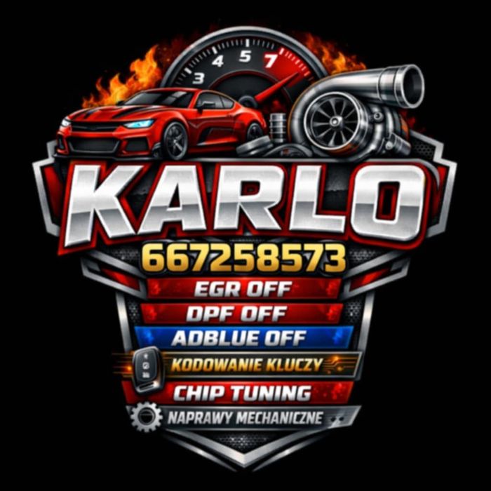 Naprawa elek.samoch.BCM.ABS.BSI.EGR.DPF, Adblue off wylaczenie,