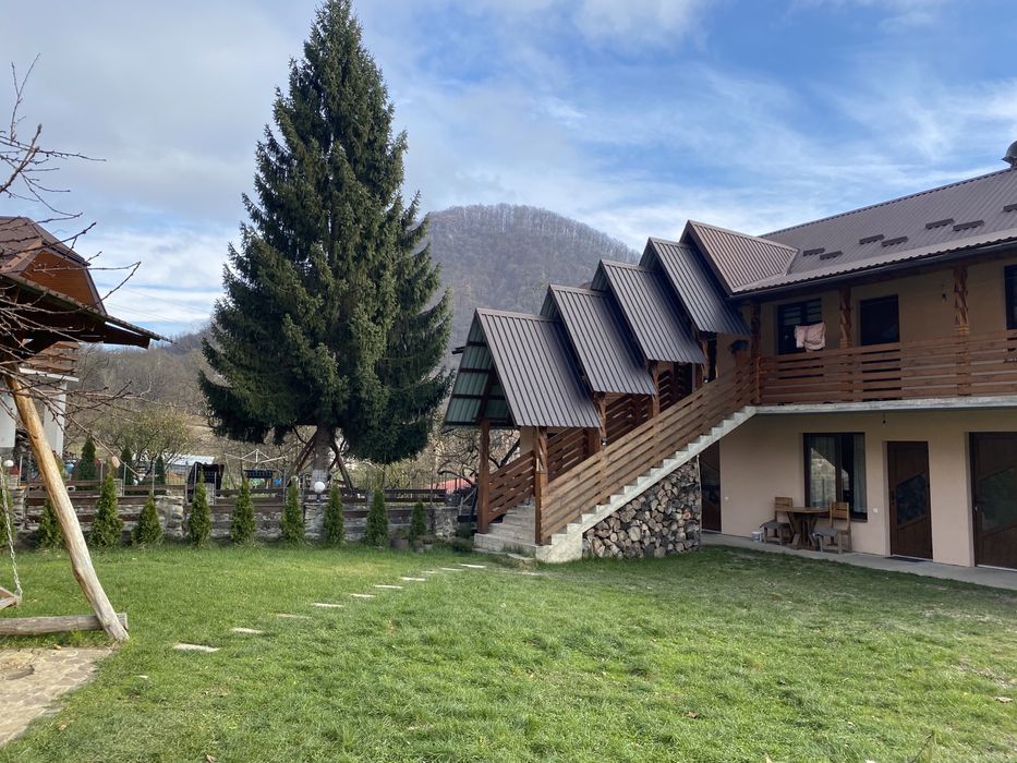 Відпочинок Шаян.