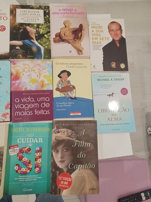 Conjunto de 23 livros