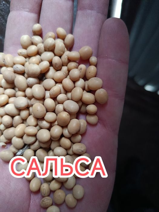 Соя не ГМО Сальса