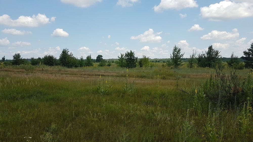 Земельна ділянка під КМ с. Лебедівка