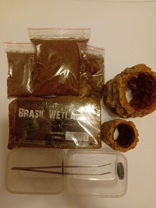 Zestaw startowy do hodowli pająka