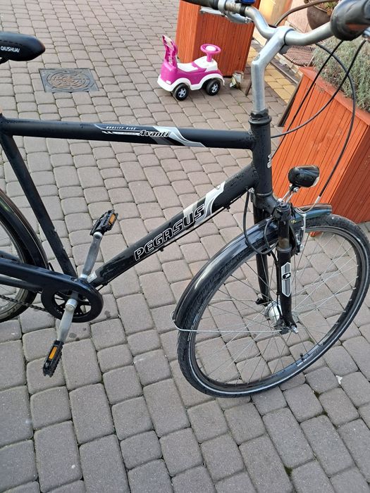 Rower męski Pegazus
