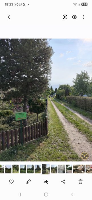 Ogród działkowy ekologiczny 375m Białystok - Widok 5