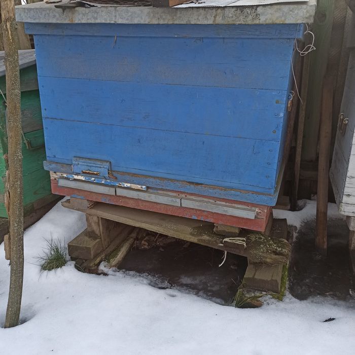 Продам вулики "українка"