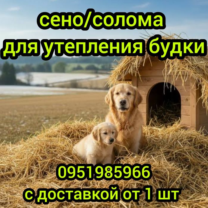 ‼️СЕНО СОБАКАМ В БУДКУ С ДОСТАВКОЙ от 1 шт  в тюках мешках, сіно житняк и др виды. Корм, декор, мульча‼️