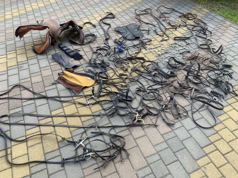 Трензель,удило для лошади(Англия)