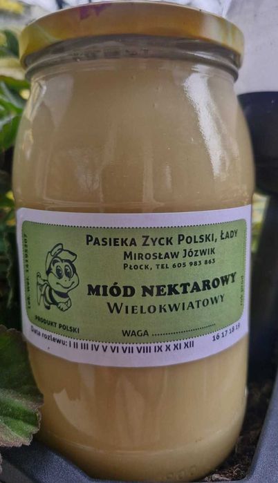 Miód z własnej pasieki WIELOKWIATOWY RZEPAKOWY