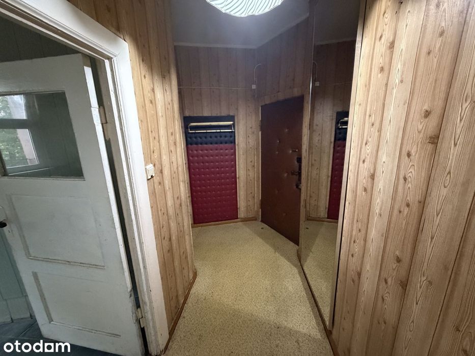 Bez prowizji / dwa pokoje / piwnica 9m2 / niski czynsz