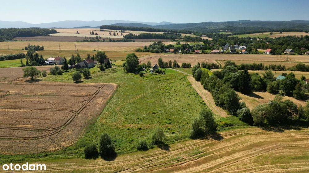 Pogórze Izerskie - Działka Siedliskowa+Rola - Widok 3