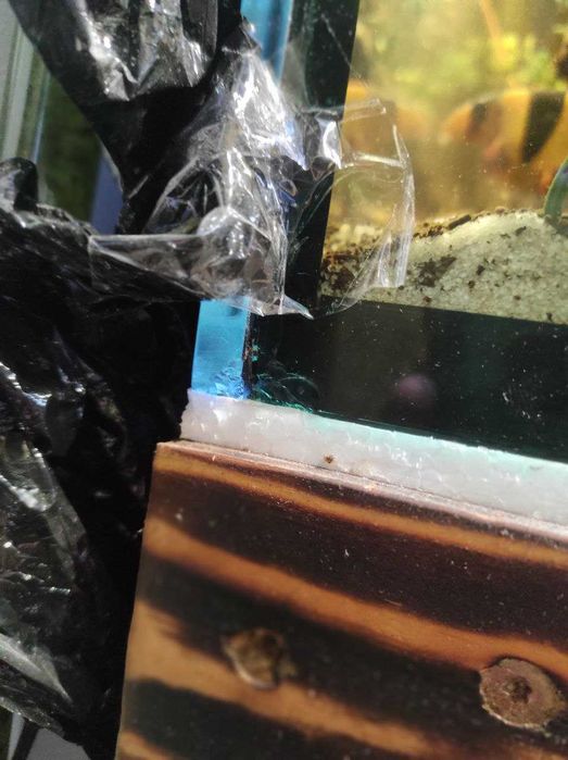 Akwarium Duże z Szafką 79x68x60cm 322l z życiem i akcesoriami