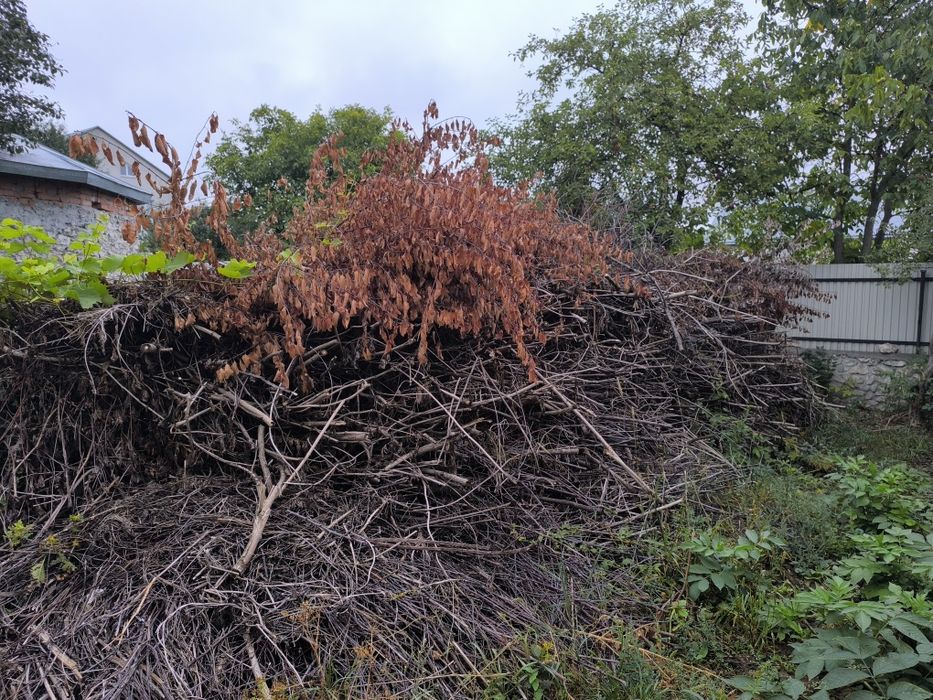 Дрова безкоштовно