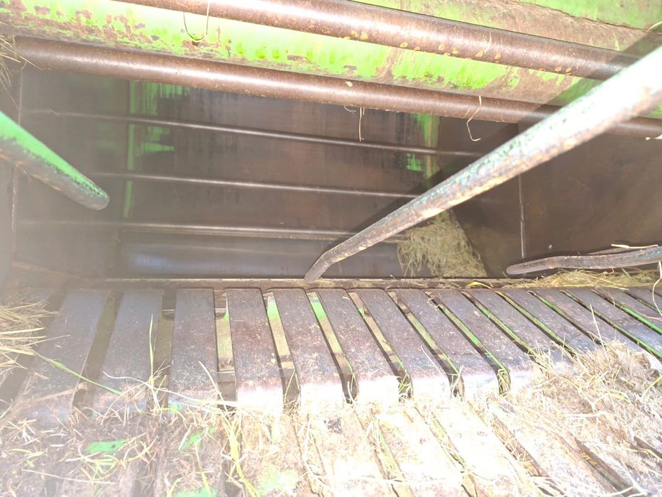Sprzedam prase sipma z279/1