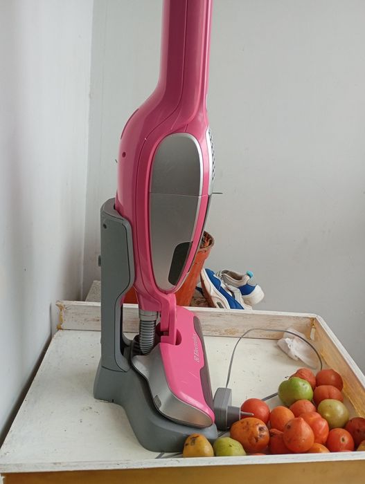 Ручний пилесос Electrolux ZB2929p розовий з Германії.