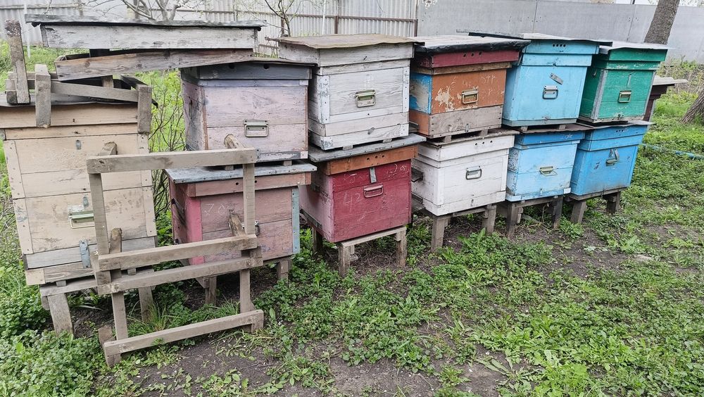 Продам вулики в гарному стані
