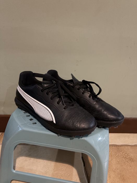Сороконіжки Puma king