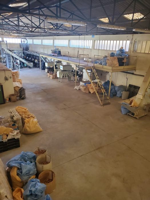 Armazém Industrial com Licença Ativa | Lourosa (Santa Maria da Feira)
