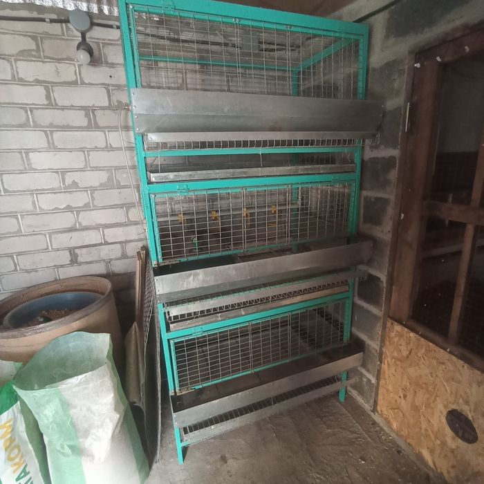 Клетка для кур несушек