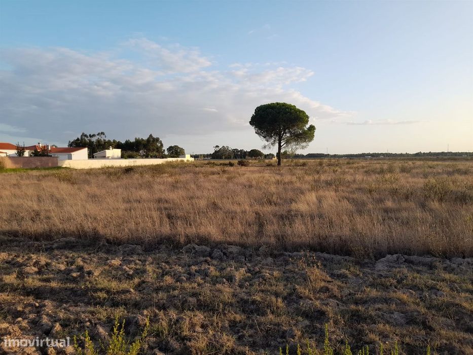 Terreno rústico inserido numa malha urbana com duas frente centro do G