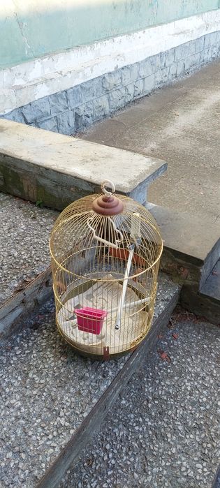 Продам велику клітку у чудовому стані