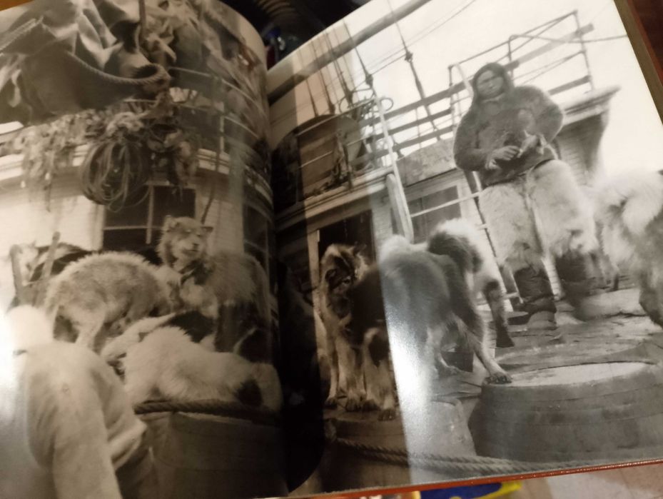 The National Geographic Society 100 Years of Adventure and Discovery