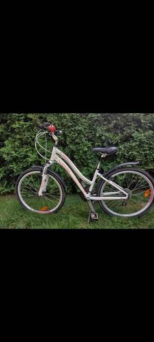 Rower Kross Modo 2.0