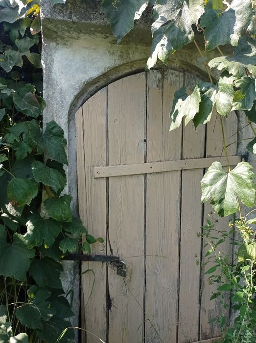 Садиба біля річки Десна. Село Лебедівка.