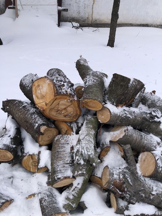 Продам дрова Черешня