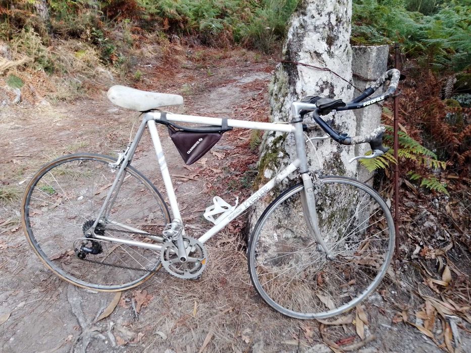 Bicicleta especial de corrida