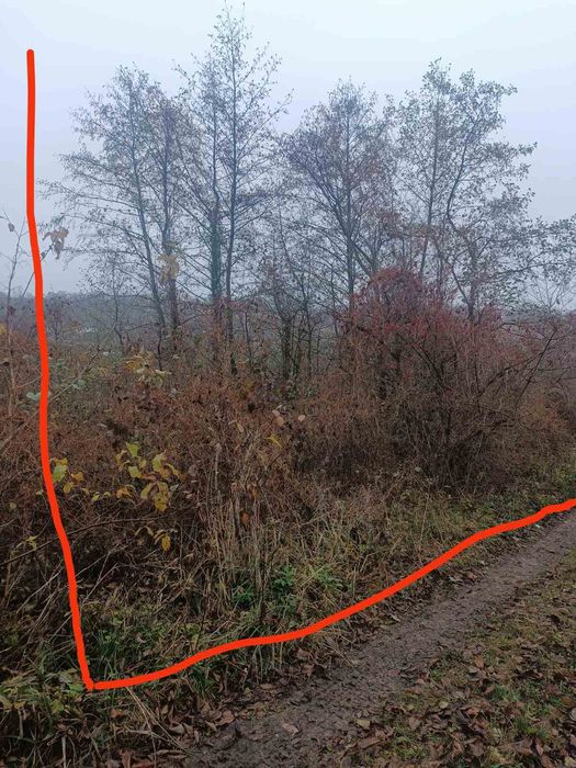 Ділянка під садівництво