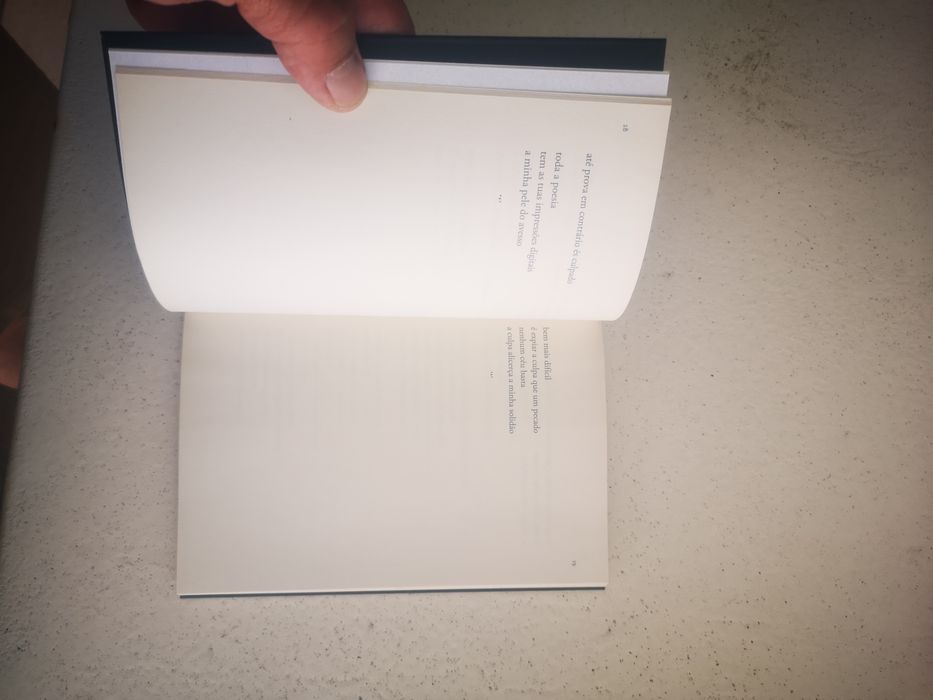 Livro 'A luz demora' de Olga Santos