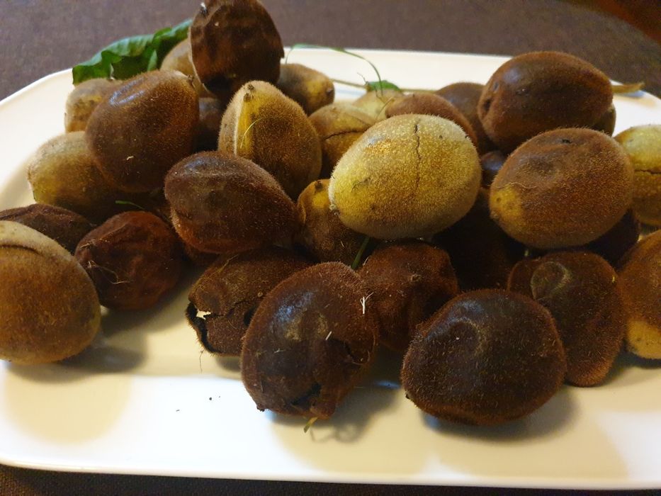 Czarny orzech owoce zdrowotny na nalewki  1/2 kg