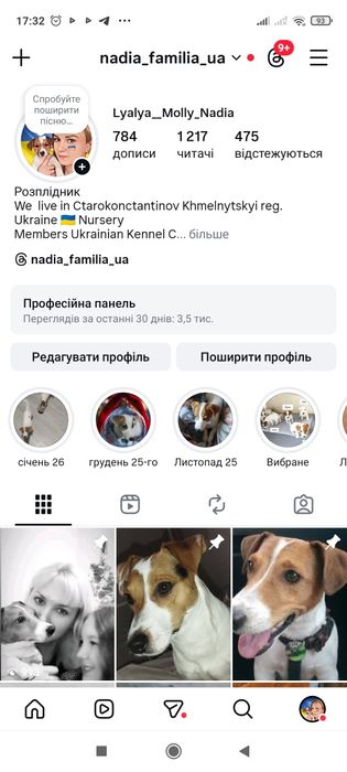 Цуценя Джек Рассел тер'єр