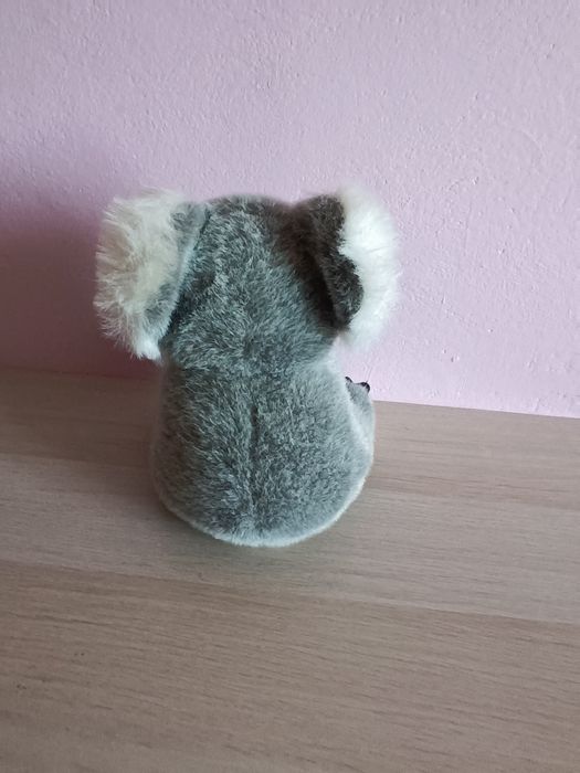 Maskotka miś koala z wstążką Australii 22 cm