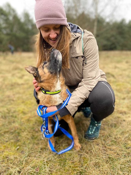 Grzeczny,  kochany Hiacynt czeka w schronisku!