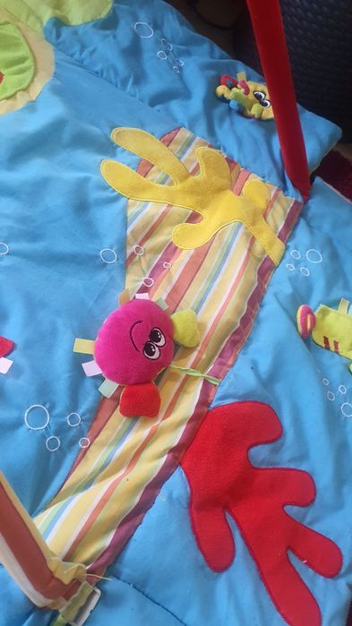 Mata edukacyjna Campol