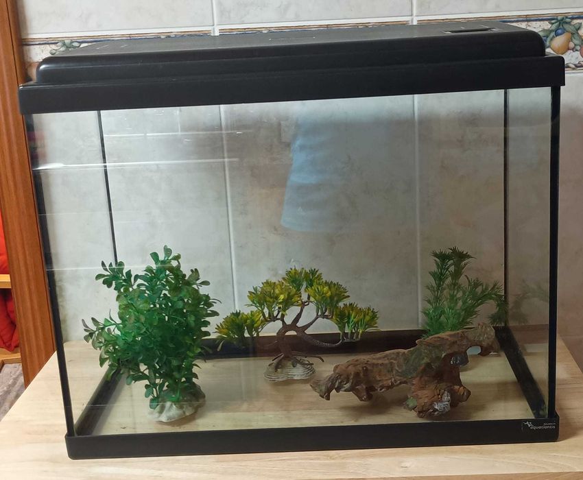 Aquário 45litros