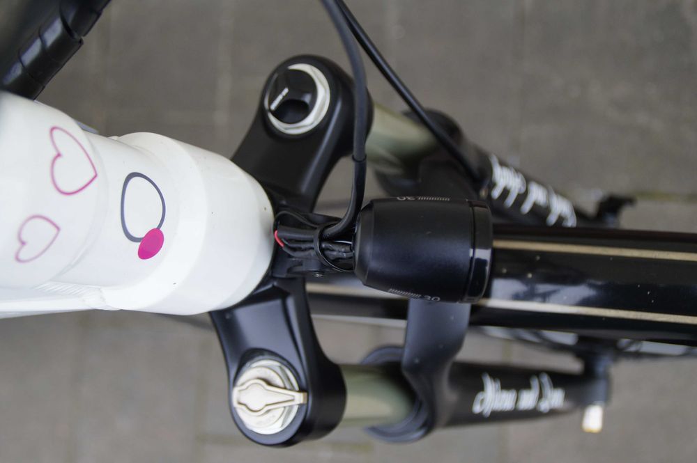 Rower elektryczny System Bosch napęd pasek piasta 8 biegowa