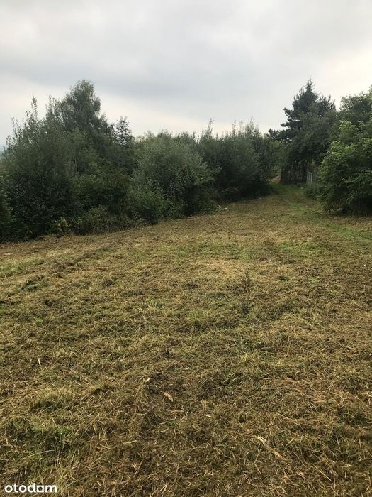 Działka budowlana nad jeziorem Żywieckim
