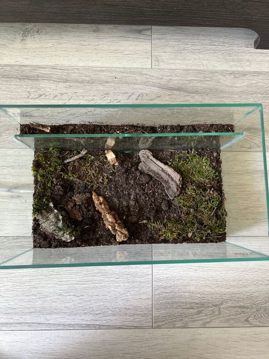 Formikarium dla mrówek + gniazdo