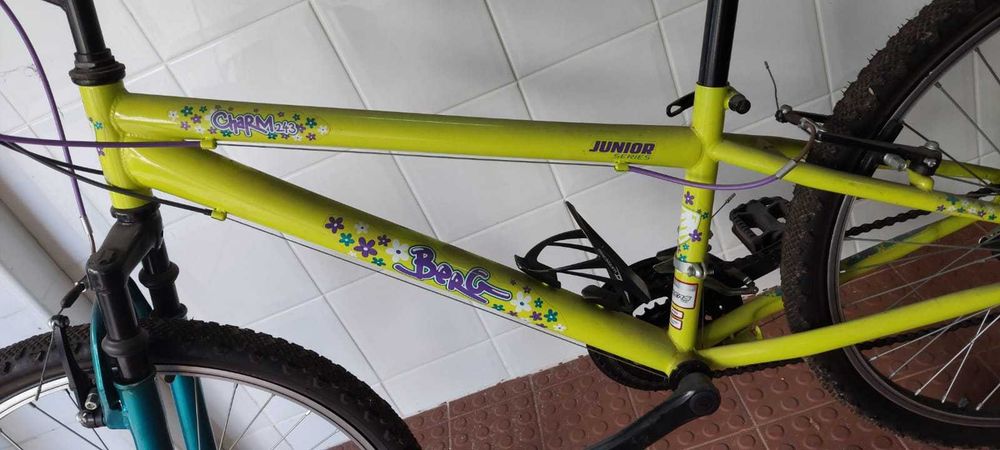 Bicicleta Júnior BERG CHARM 243